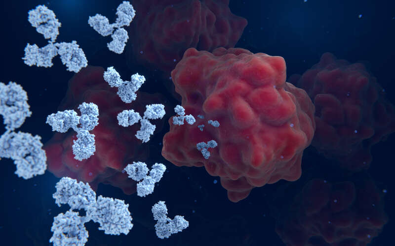 3d rendering of antibodies attacking a cancer cell