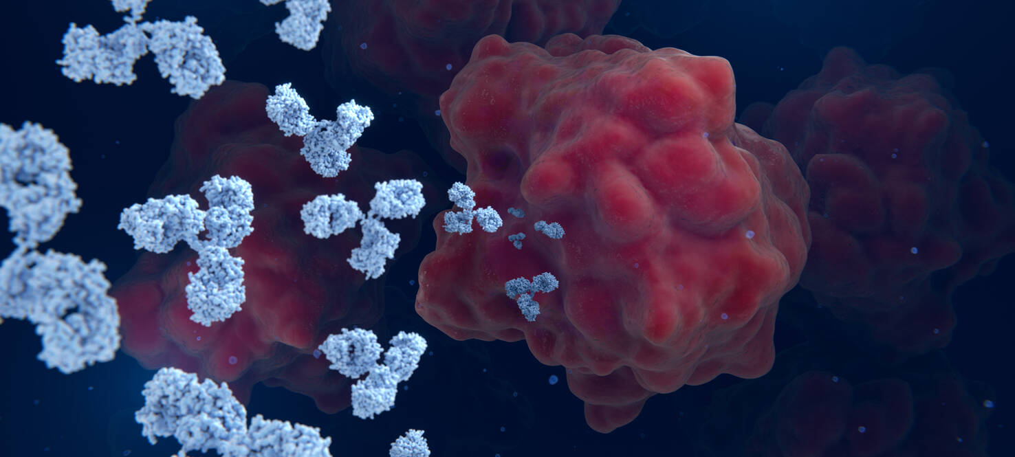 3d rendering of antibodies attacking a cancer cell