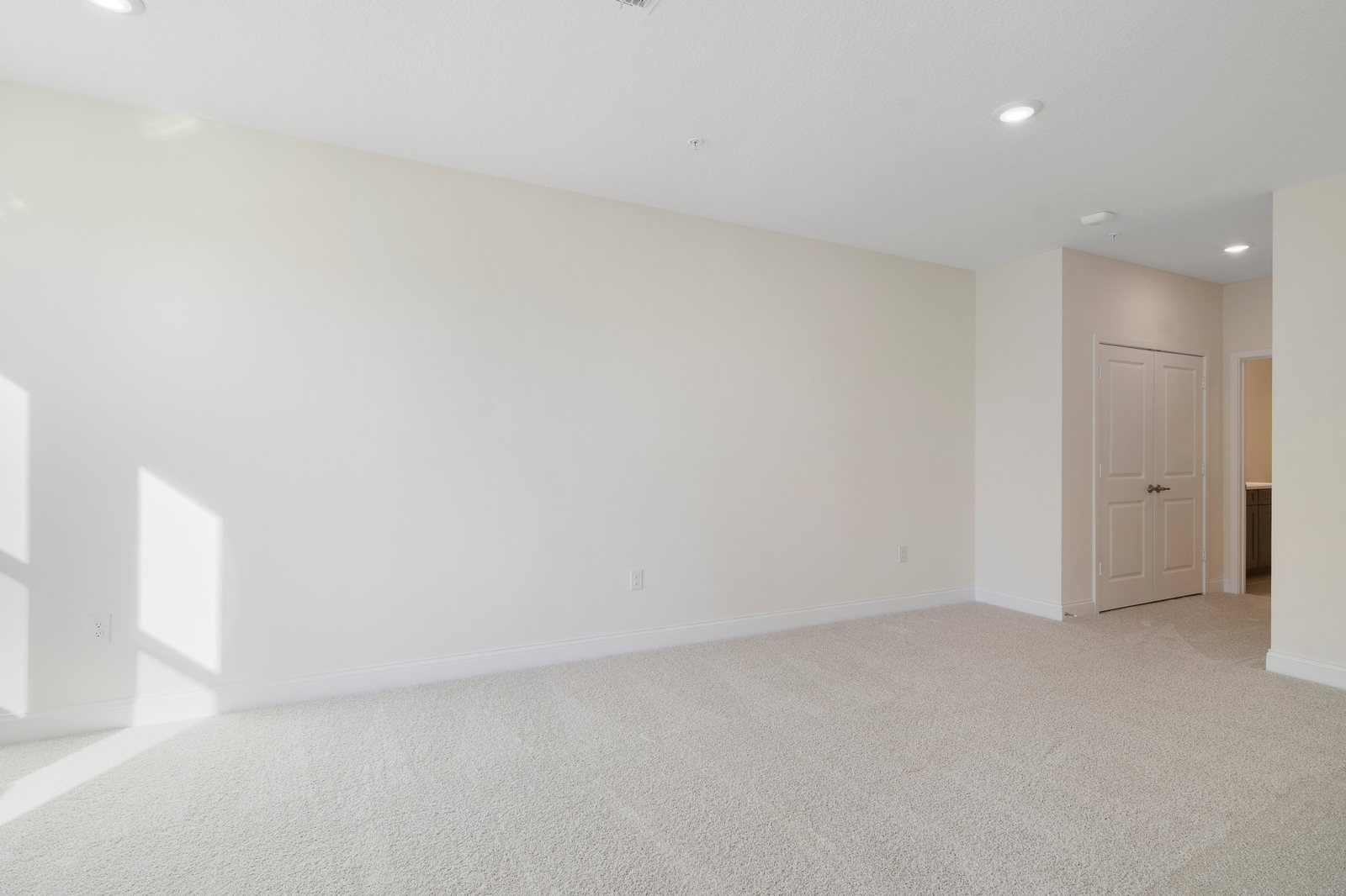 primary bedroom with carpet and two windows