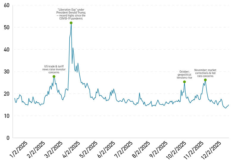 2025 Daily CBOE Volatility Index (VIX)