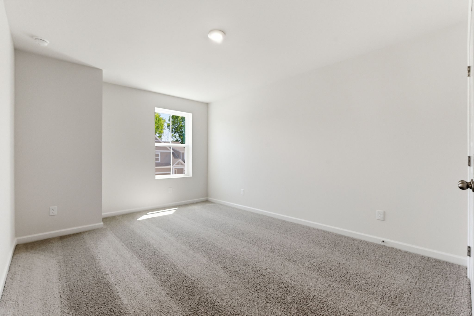 secondary bedroom with large windows, walk in closet, and carpet