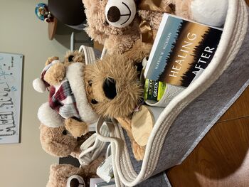 BMT Nurse Comfort Baskets