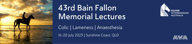 Bain Fallon
