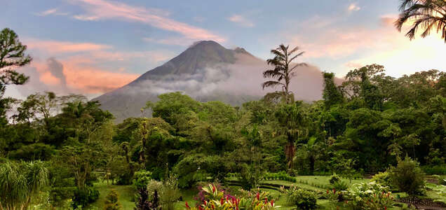 The Arenal Volcano, partially covered in clouds, towers over a lush rainforest and landscaped gardens during a colorful sunset.