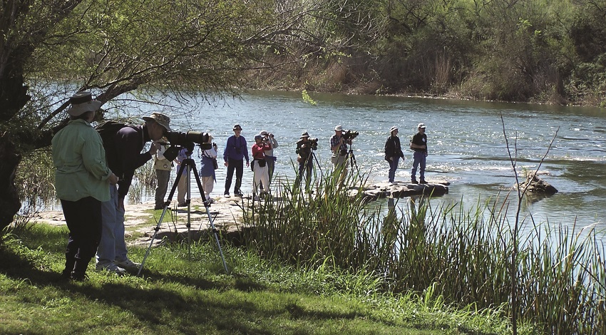 Birders stand on the shore and on a dock in a river searching for birds