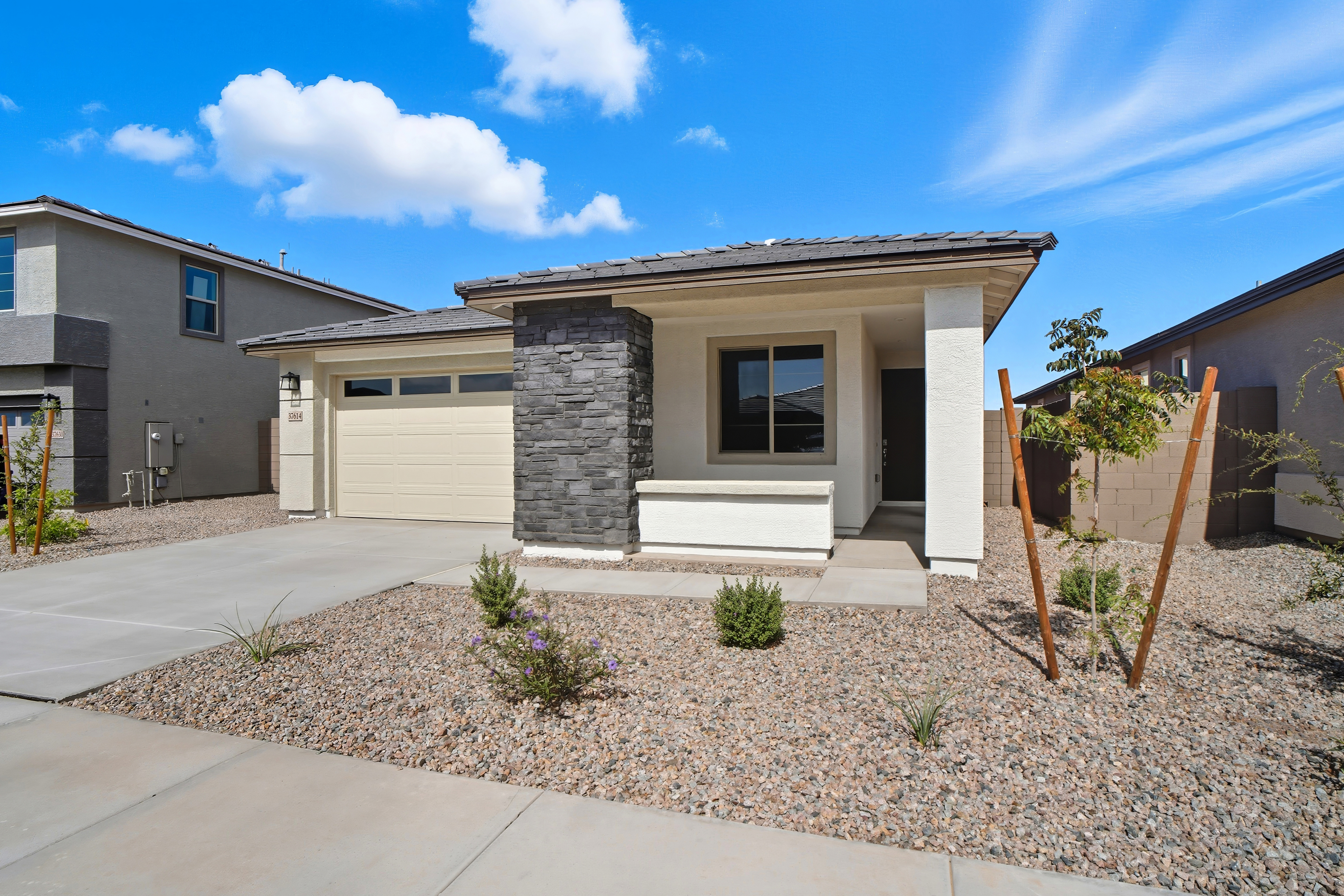 Card image for Bonita