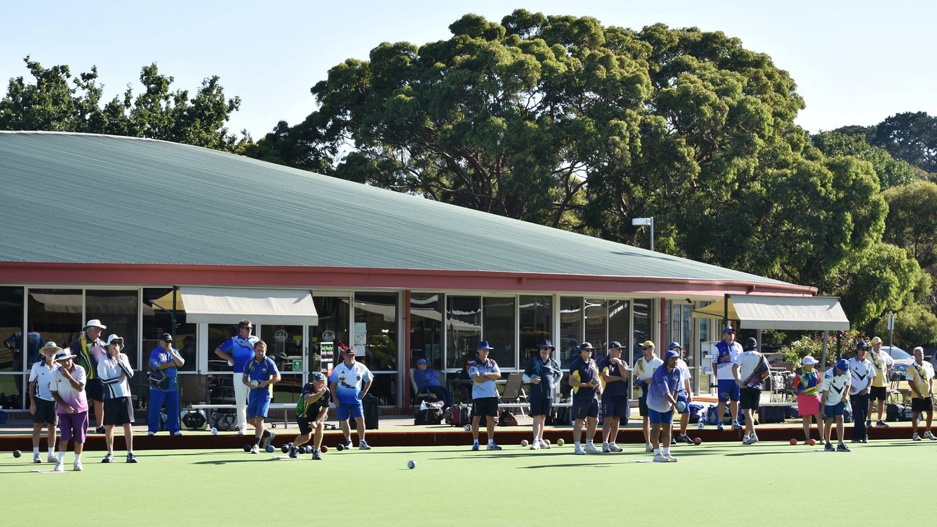 Ringwood Bowls
