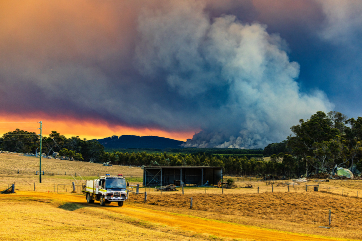 Bushfire.jpg