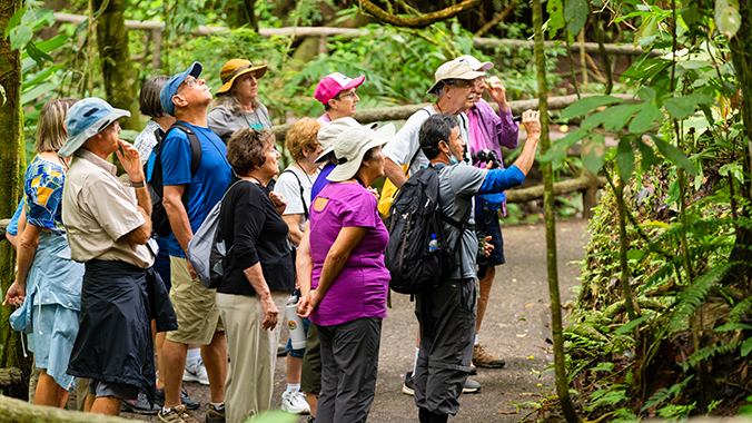 A Taste of Costa Rica
