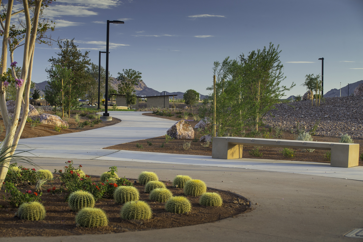 trail with desert landscaping and trees