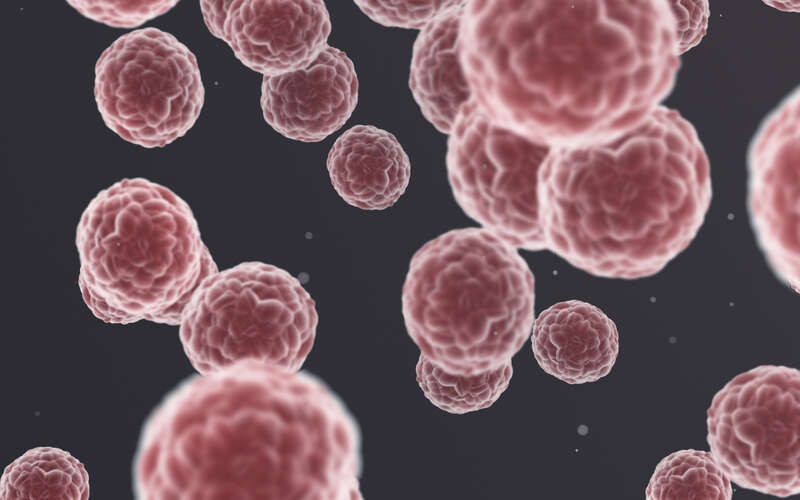 3D graphic image of cancer cells