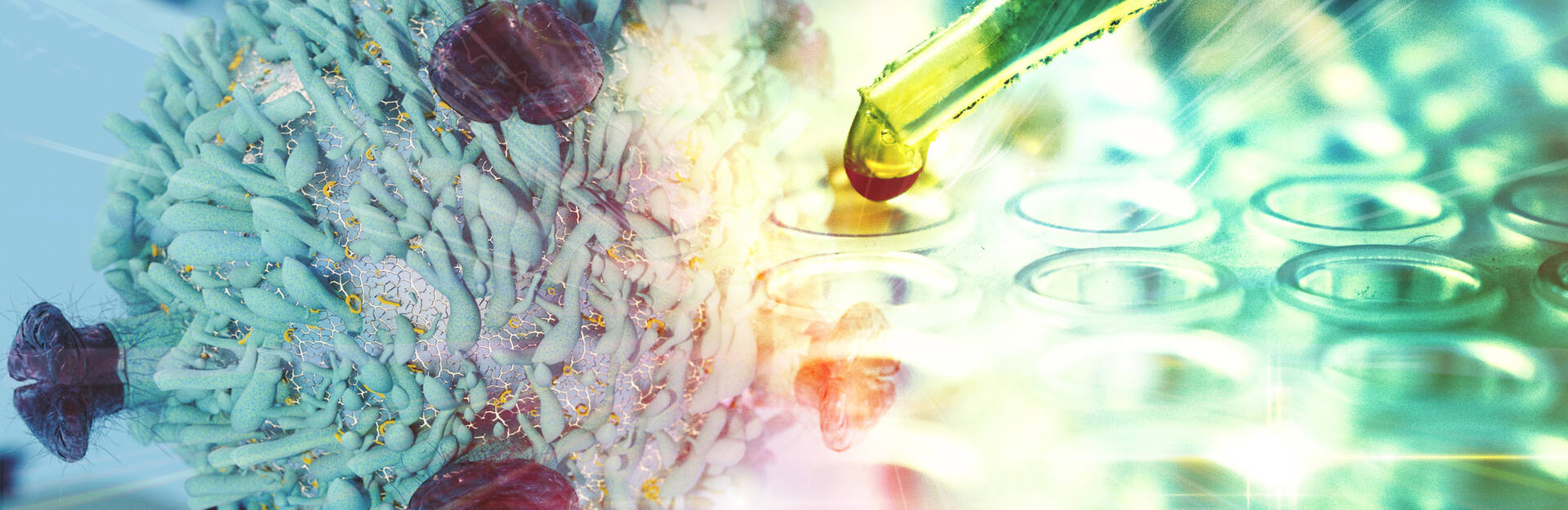 graphic of cancer cell and petri dish with pipette