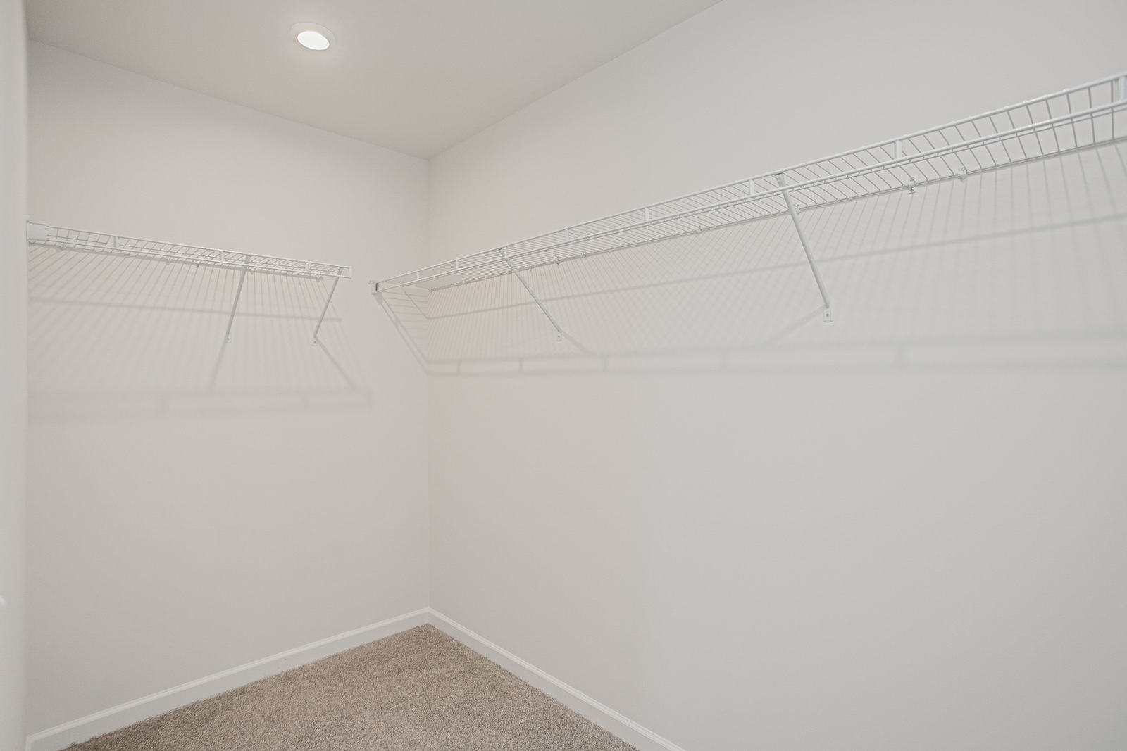 large walk-in closet with carpet and built in shelves