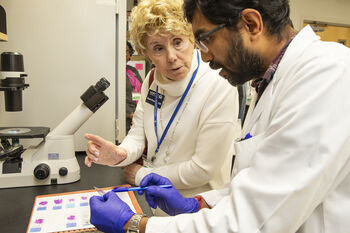 Philanthropists Susan Davis and Richard Henley have established the Susan L. Davis, RN, EdD, & Richard J. Henley Physician in Chief Endowed Chair at Moffitt Cancer Center, providing permanent funding to support leadership in cancer care, research and innovation