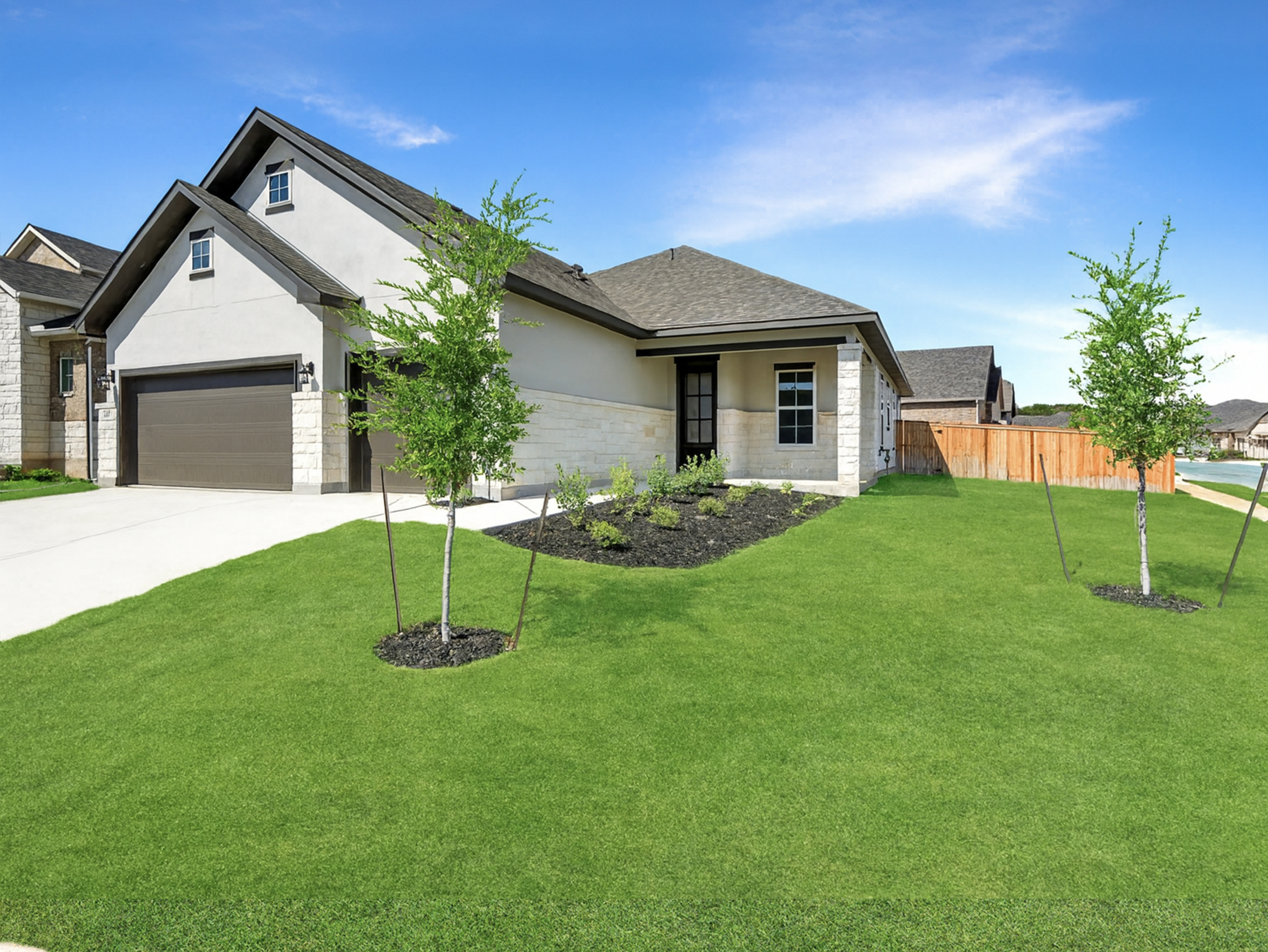 Card image for Live Oak