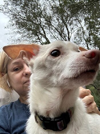 Danielle Sweet with Donnie the dog