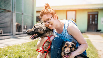 Dog shelter