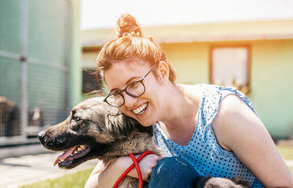 Dog shelter