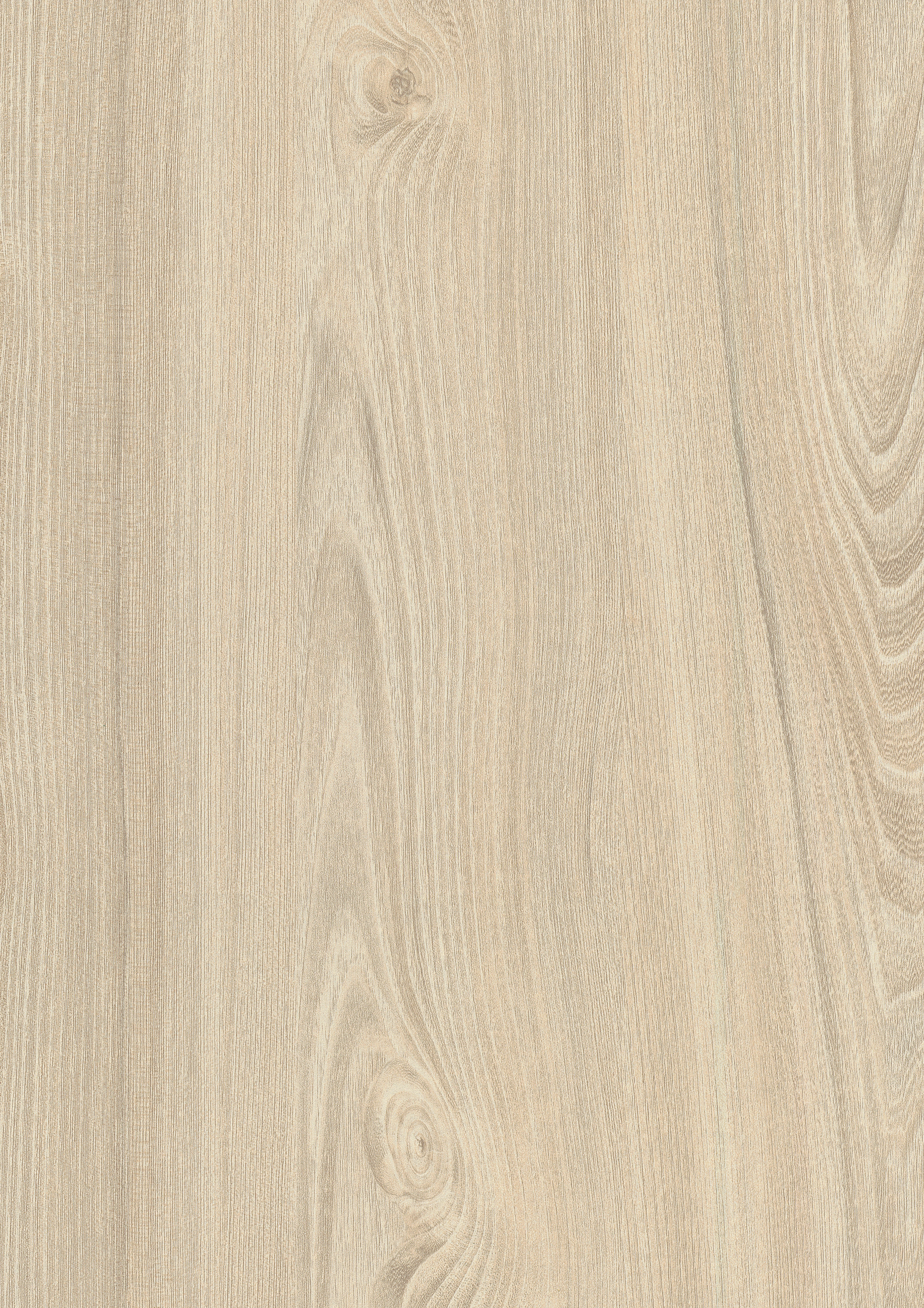 Egger_White_Tossini_Elm_H1701_ST12_Closeup