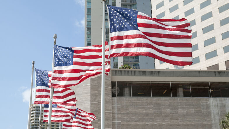 Row of American flags blowing in front of tall buildings