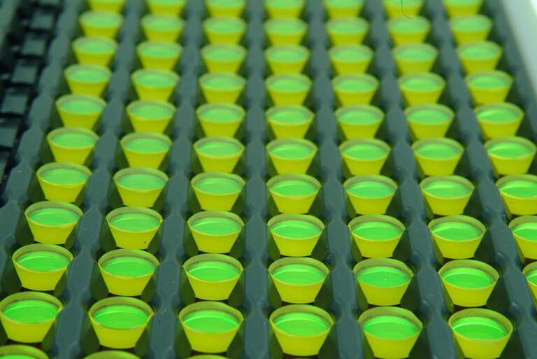 Fluorescence Filters