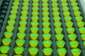 Fluorescence Filters