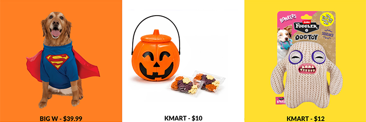 Halloween pet costumes