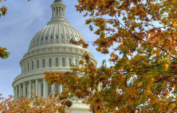U.S. Capitol Building behind tree branches with orange leaves