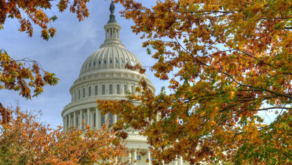 U.S. Capitol Building behind tree branches with orange leaves