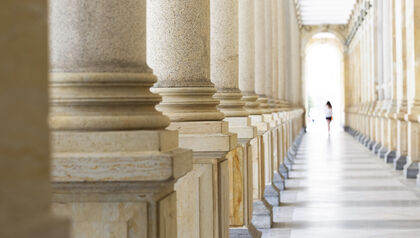Government Hall Columns Outside