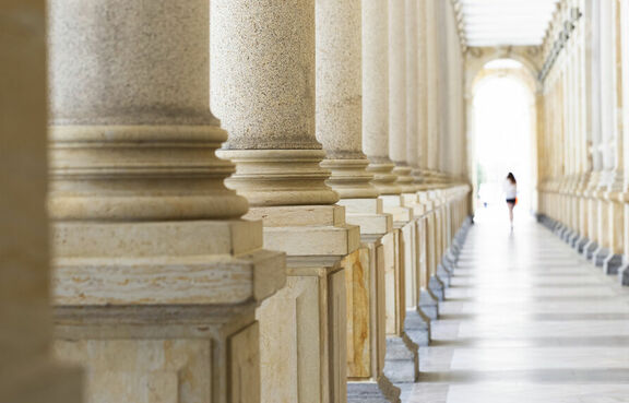 Government Hall Columns Outside