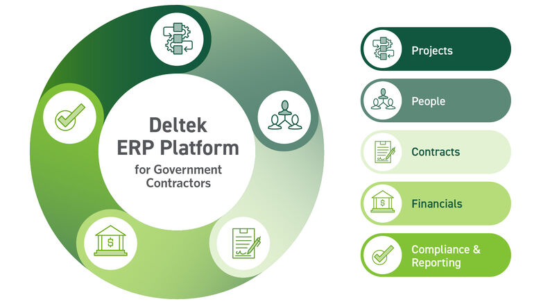 Deltek ERP Platform configuration graphic 
