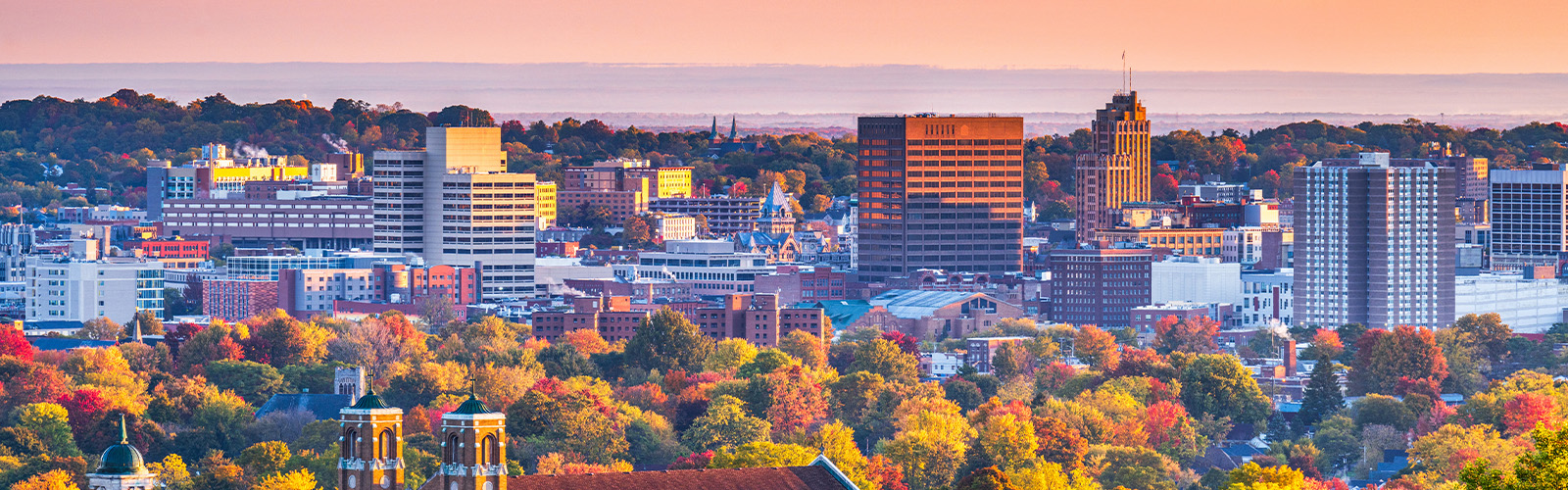 A view of a New York skyline