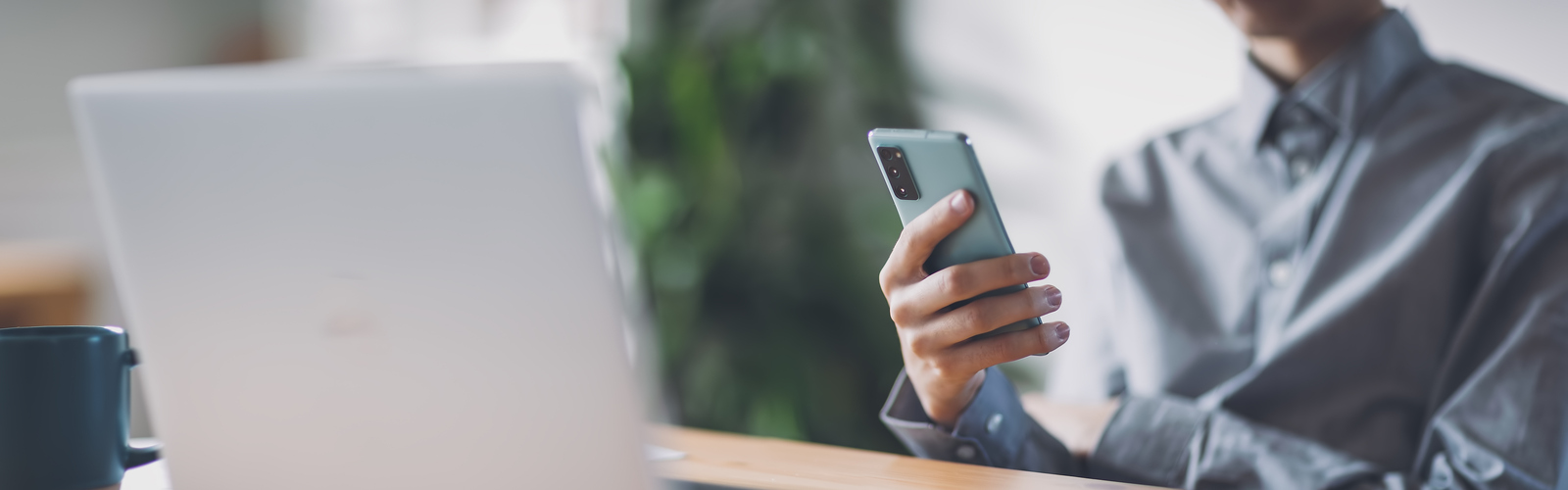 person holding a cell phone