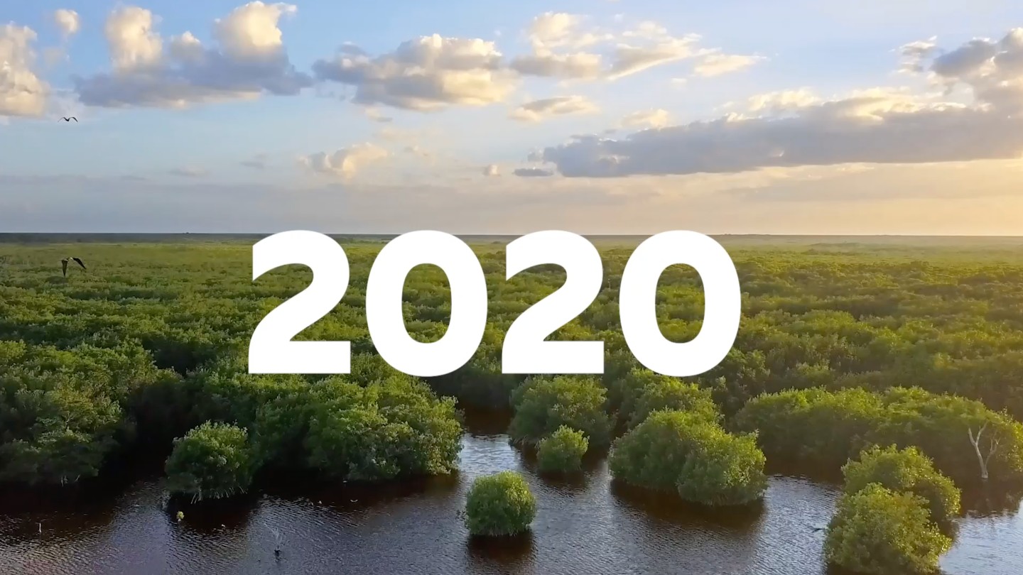 Aldar 2020 Full Year Results