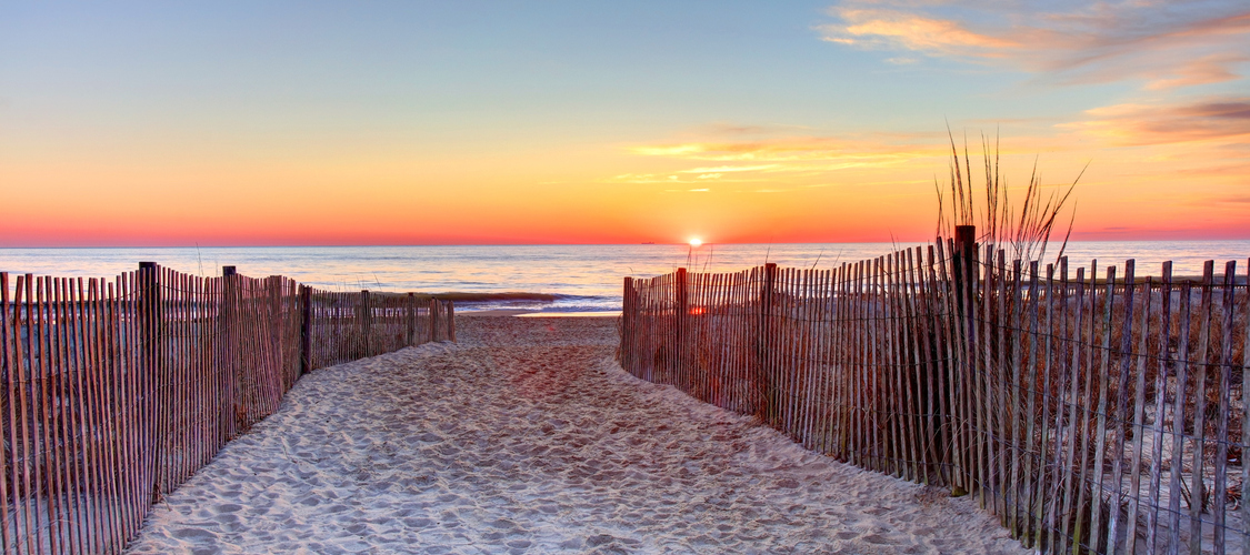 An image of the terrain in Delaware