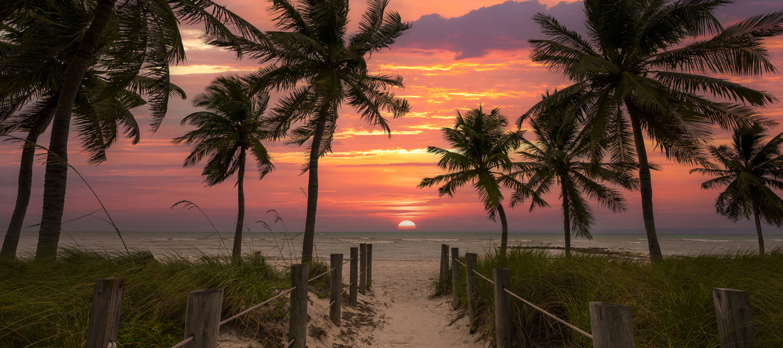 An image of scenery in Florida