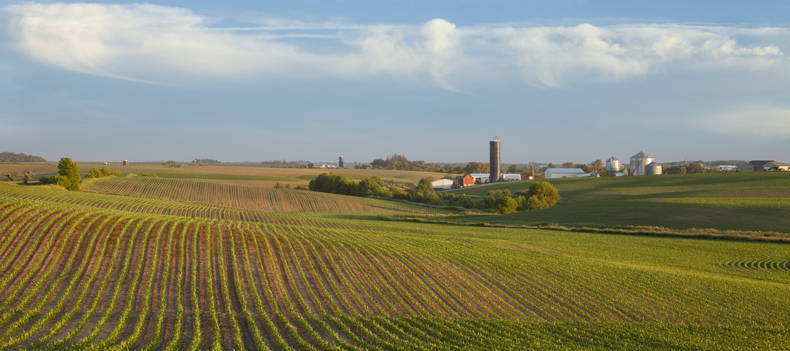 A picture of the terrain in Iowa