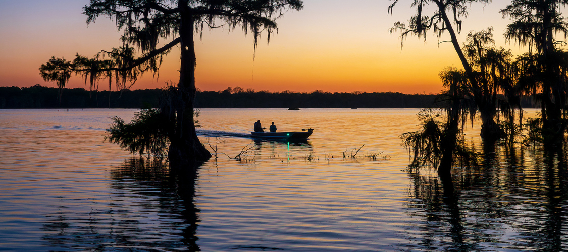An image of Louisiana