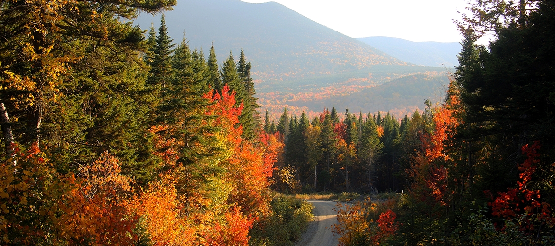An image of the terrain in Maine