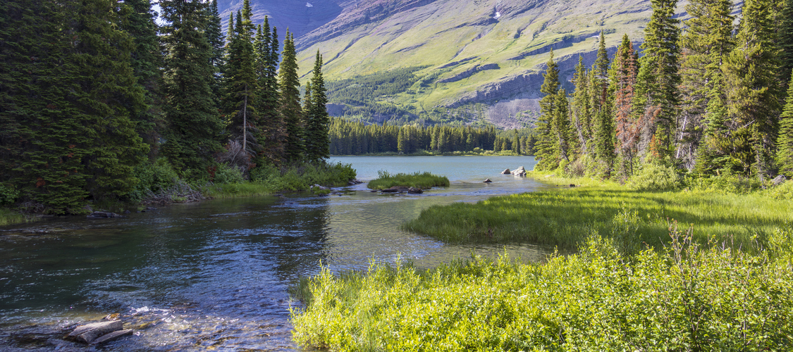 An image of the terrain in Montana