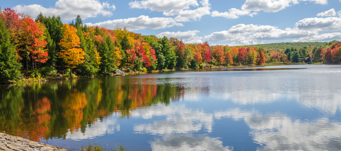 An image of the terrain in Pennsylvania
