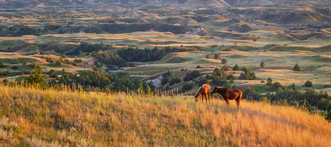 An image of the terrain in North Dakota