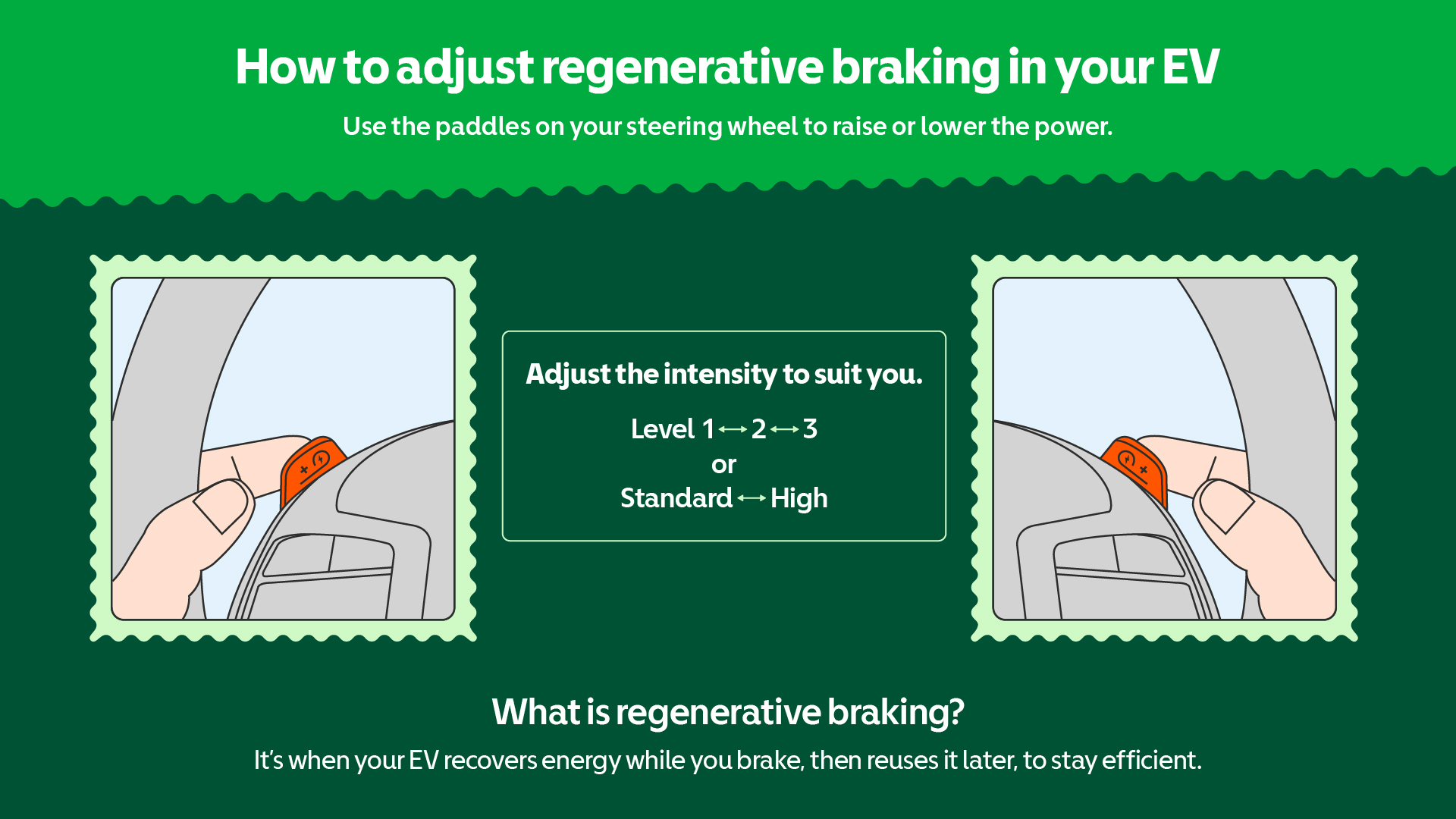 Infographic showing how to adjust regenerative braking in an electric vehicle. The title reads “How to adjust regenerative braking in your EV.” Two illustrations show a hand using orange paddles on a steering wheel marked with plus and minus signs. Text in the centre says “Adjust the intensity to suit you: Level 1↔2↔3 or Standard↔High.” Below, text defines regenerative braking as when an EV recovers energy while braking and reuses it later to stay efficient. The design uses shades of green with soft-edged borders.