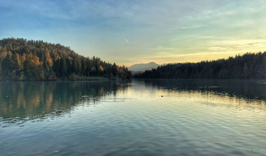 Supanje na Zbiljskem jezeru lahko zaključite s prijatnim družinskim piknikom.