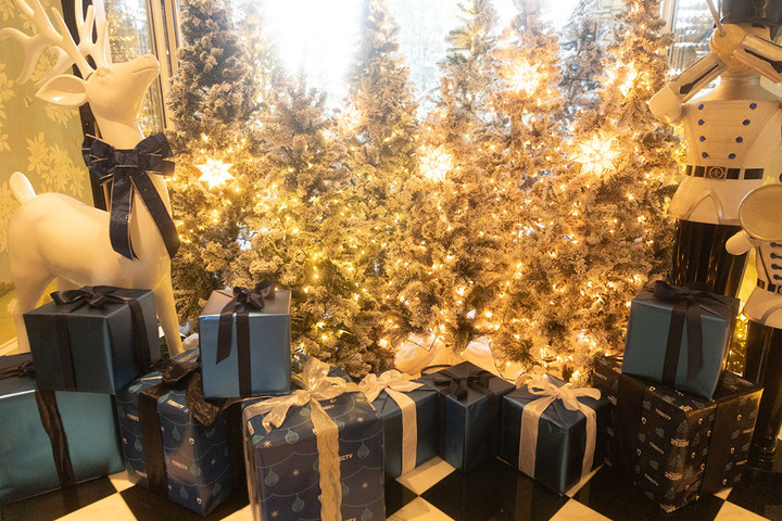 Christmas at Kathy's tree