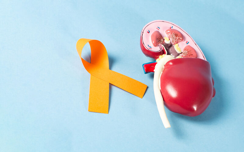 Kidney Cancer Awareness Month
