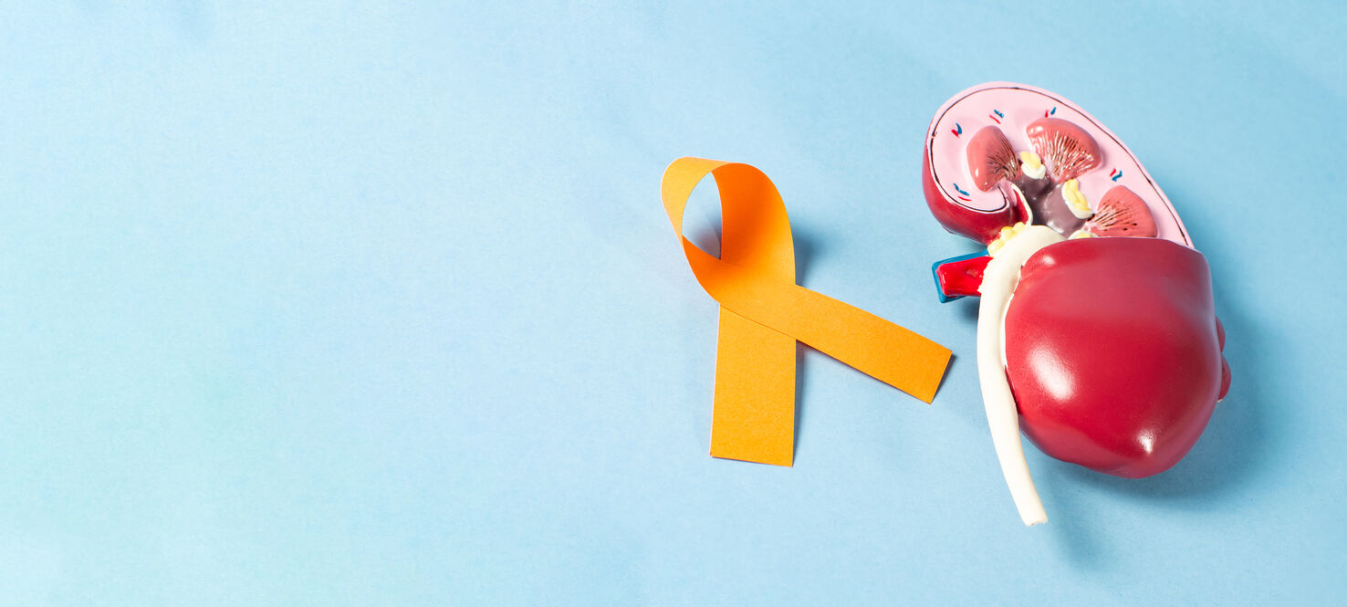 Kidney Cancer Awareness Month