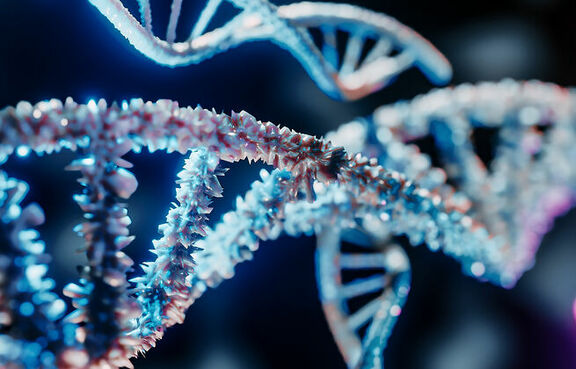 Close up view of a DNA strain