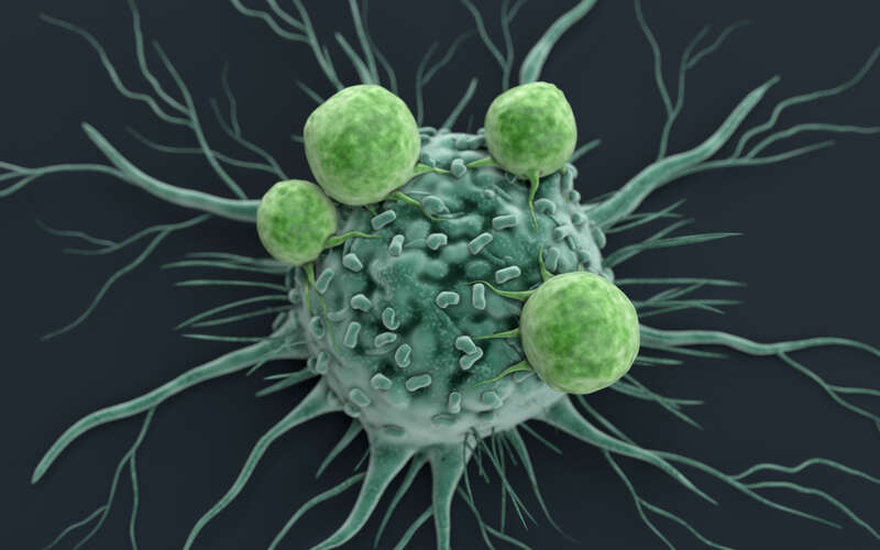 graphic of cancer cell being attacked by immune cells